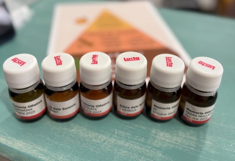 Ampollas con aromas utilizados en el taller Seis botes pequeños de color miel y tapa blanca que contienen los aromas utilizados en el taller