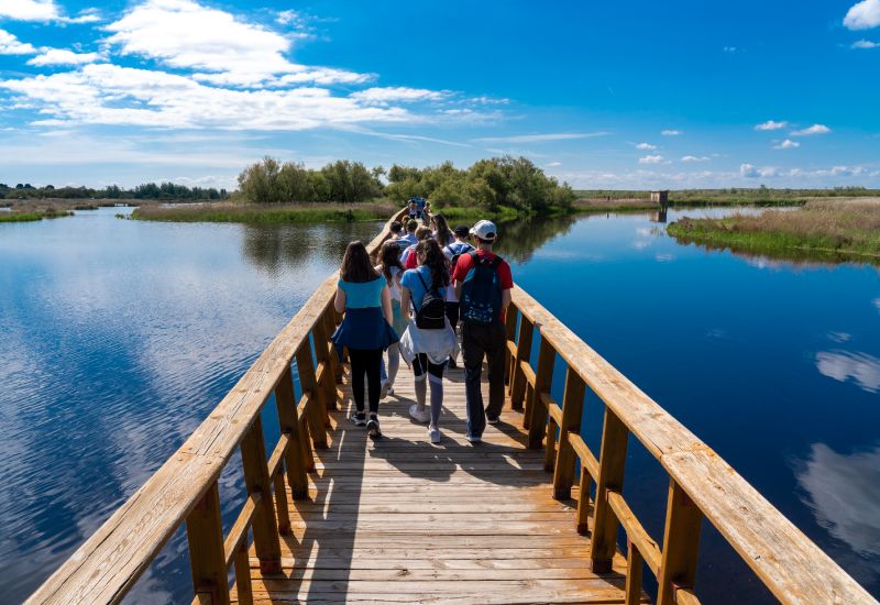 Un grupo de j&oacute;venes voluntarios de CaixaBank atraviesan un puente de madera sobre un r&iacute;o.