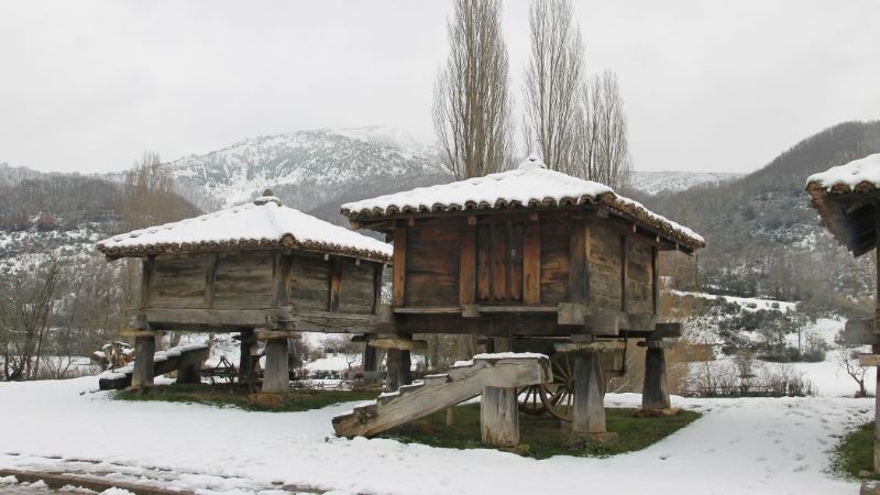 Prioro: tradición y vida rural en León Hórreos de madera elevados sobre pilares en paisaje nevado de montaña, con tejados cubiertos de nieve y árboles altos al fondo