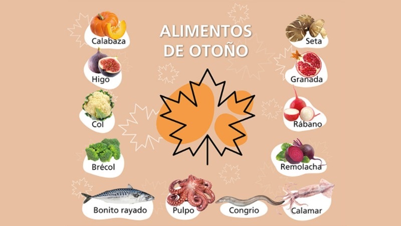 Infograf&iacute;a &ldquo;Alimentos de oto&ntilde;o&rdquo; con ilustraciones de calabaza, higo, col, br&eacute;col, seta, granada, r&aacute;bano, remolacha y pescados y mariscos como bonito rayado, pulpo, congrio y calamar.