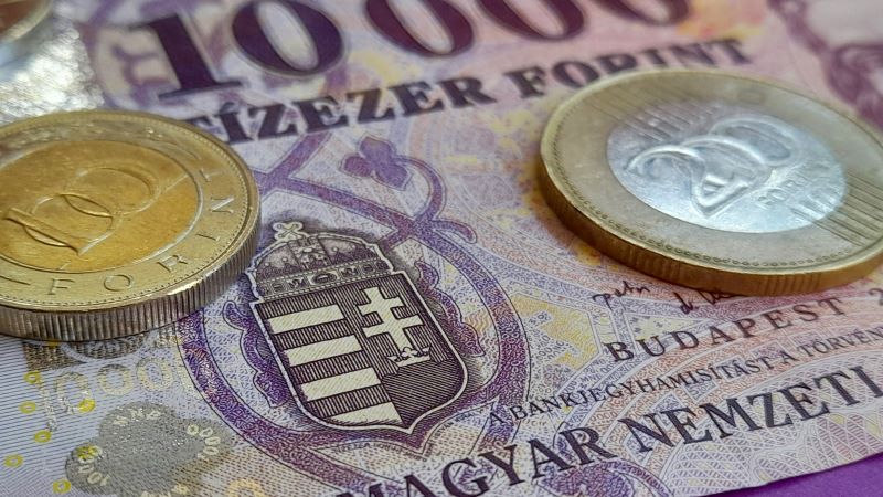 fotograf&iacute;a de monedas y billetes de flor&iacute;n h&uacute;ngaro